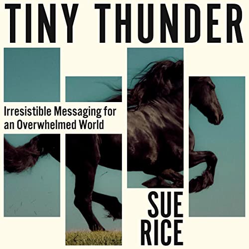 Cover artwork for the audiobook "Tiny Thunder" by Sue Rice, produced by Justin Hill at Landen Park Studio